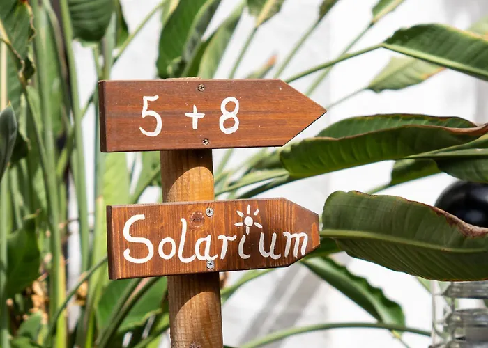 Alsol El Chaparral アパート *